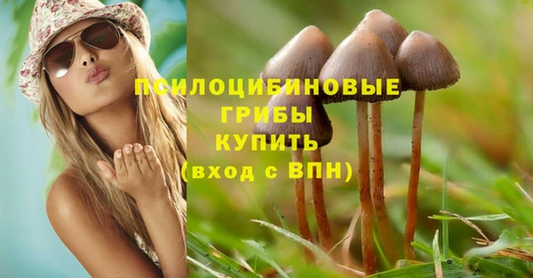 стафф Баксан